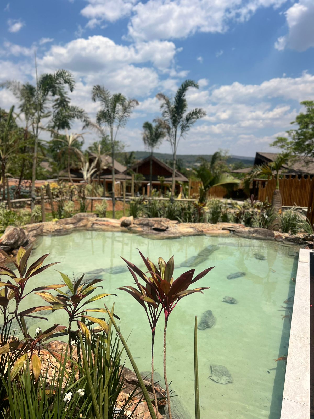 Lago ornamental com água cristalina e plantas tropicais