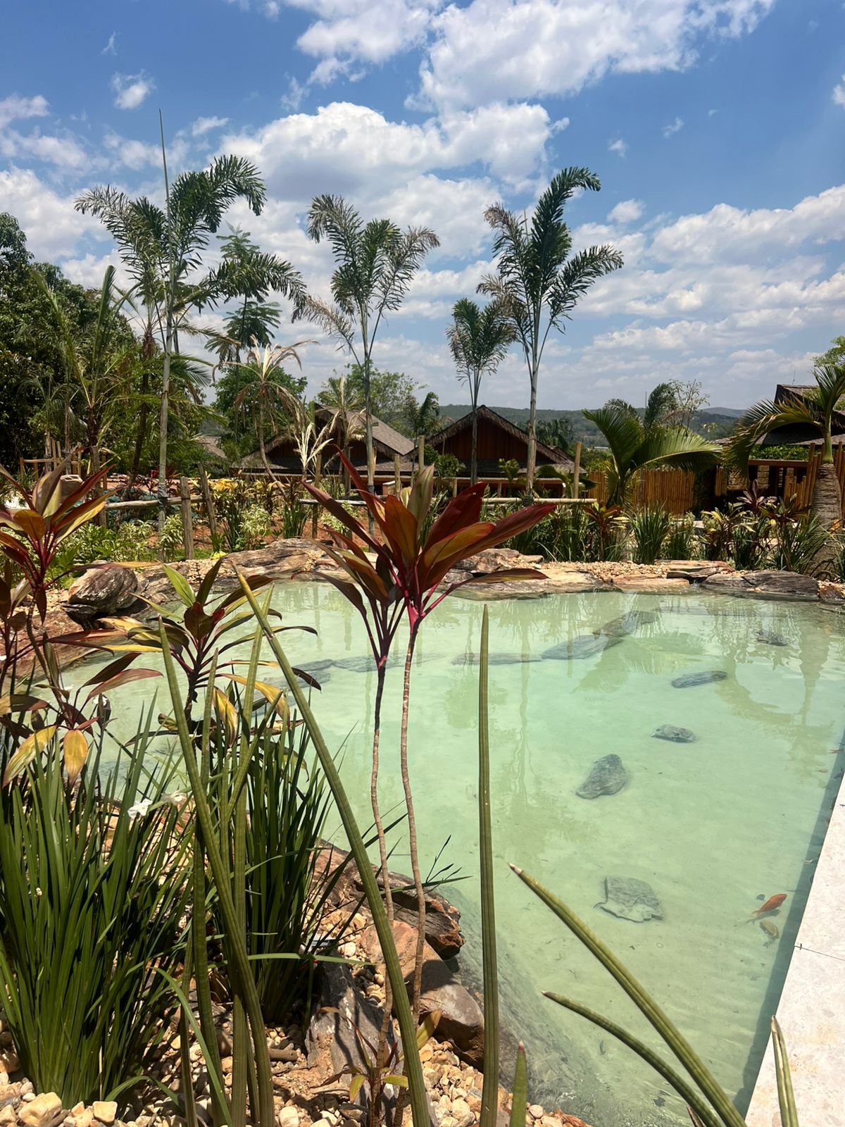Lago ornamental com palmeiras e água cristalina